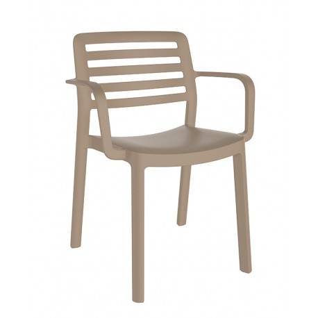 Silla Wind con Brazos